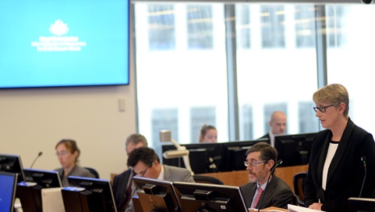 Counsel Assisting, Gail Furness SC Counsel Assisting, Gail Furness SC speaking in a court room